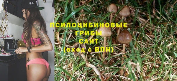 твердый Сатка